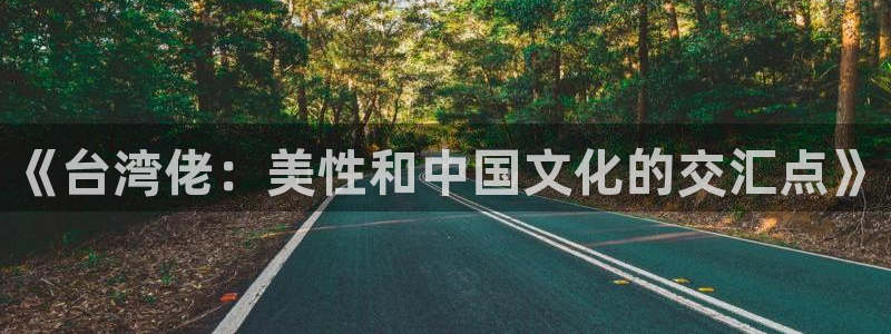 门徒娱乐官网首页：《台湾佬：美性和中国文化的交汇点》