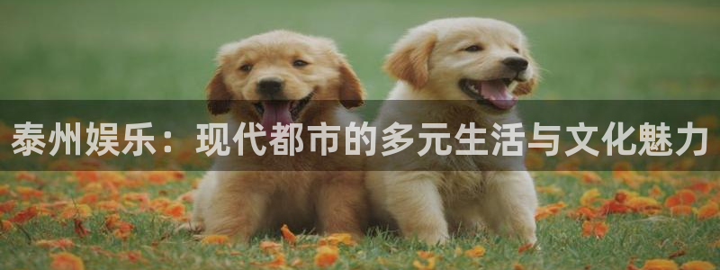门徒娱乐彩票最新官网：泰州娱乐：现代都市的多元生活与文化魅力