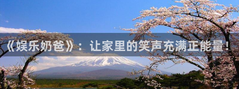 门徒平台登陆：《娱乐奶爸》：让家里的笑声充满正能量！