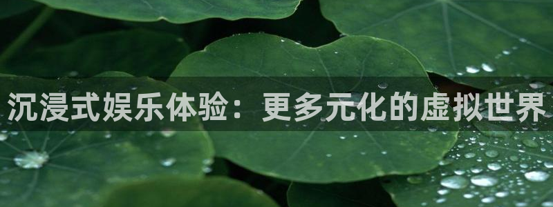 门徒平台注册登录：沉浸式娱乐体验：更多元化的虚拟世界