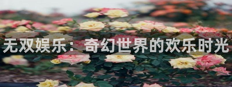 门徒平台注册登录：无双娱乐：奇幻世界的欢乐时光