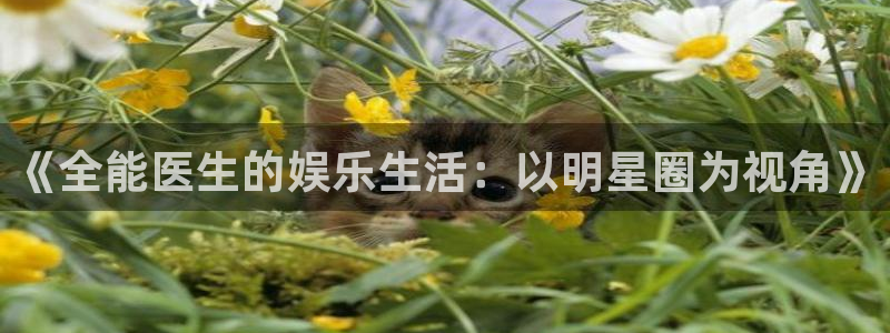 门徒娱乐app官方版下载：《全能医生的娱乐生活：以明星圈为视角》