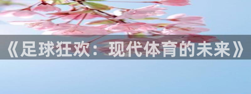 门徒平台：《足球狂欢：现代体育的未来》