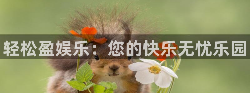 拉菲门徒平台：轻松盈娱乐：您的快乐无忧乐园
